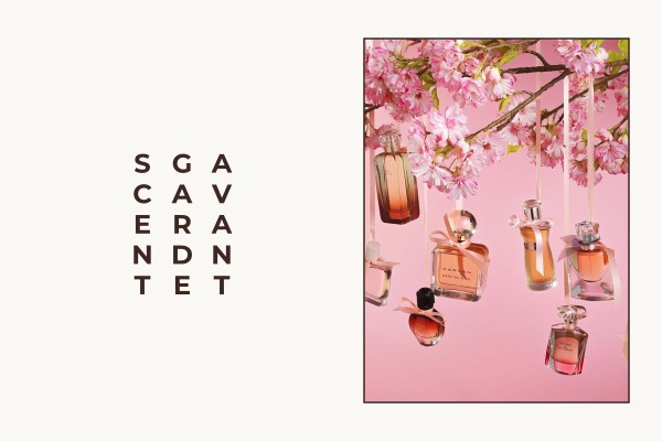 avant-garde scent