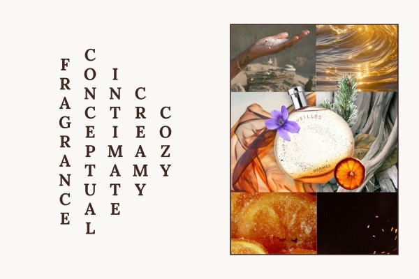 cozy creamy intimate conceptual fragrance