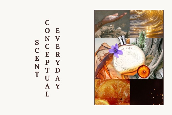 everyday conceptual scent