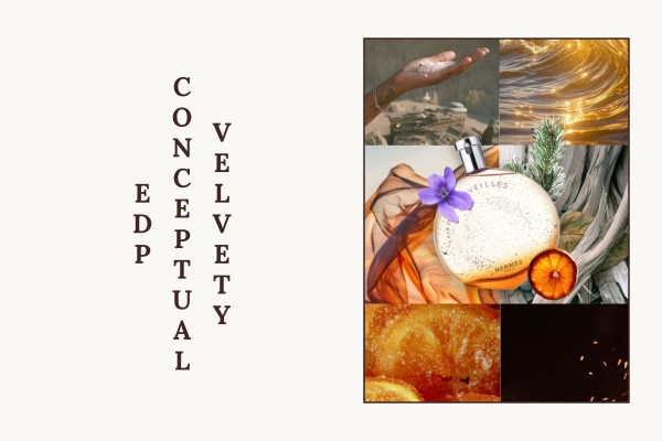 velvety conceptual edp