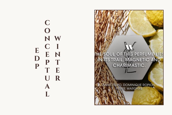 winter conceptual edp